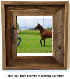 horse trail rides near me in Banning, California